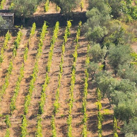 Quinta Dos Padrinhos - Suites In The Heart Of The Douro Ламего Екстериор снимка
