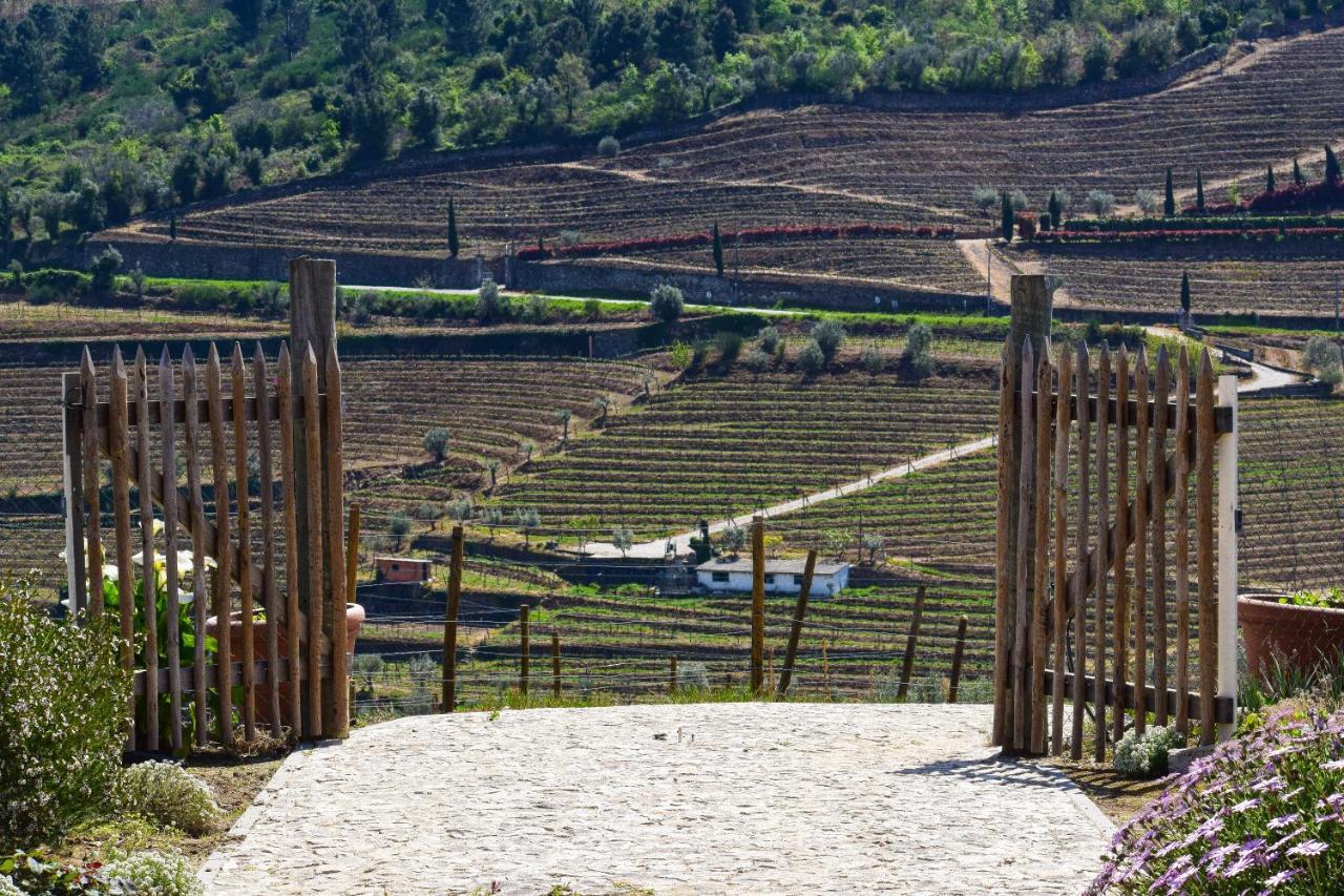 Quinta Dos Padrinhos - Suites In The Heart Of The Douro Ламего Екстериор снимка