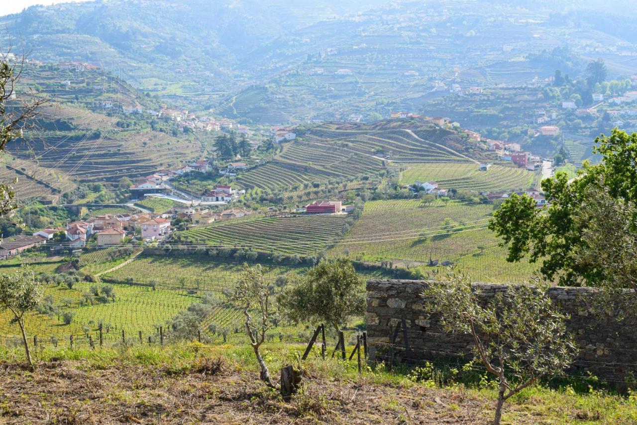 Quinta Dos Padrinhos - Suites In The Heart Of The Douro Ламего Екстериор снимка