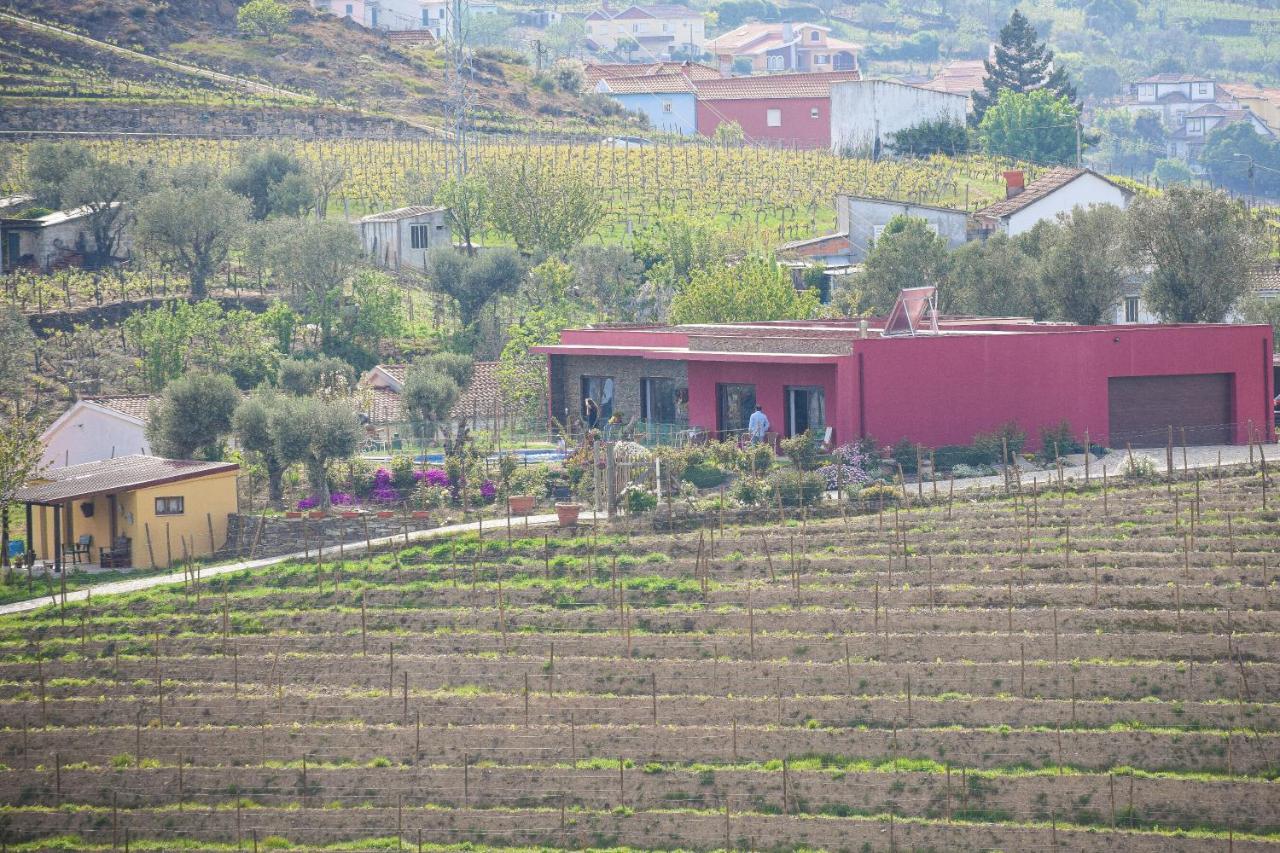 Quinta Dos Padrinhos - Suites In The Heart Of The Douro Ламего Екстериор снимка