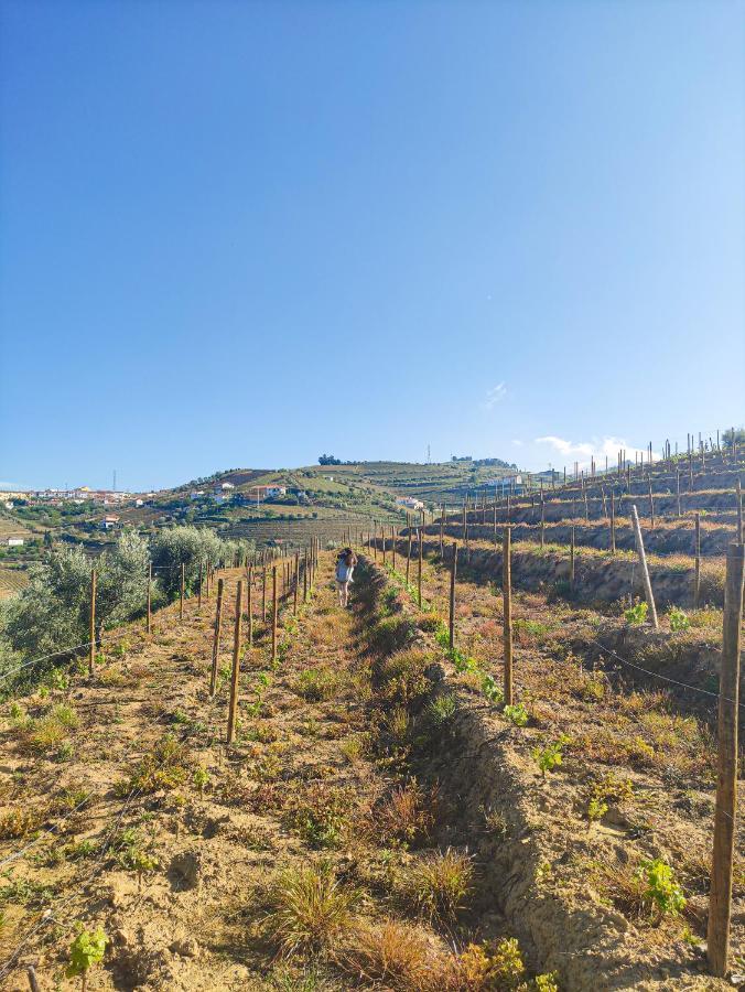 Quinta Dos Padrinhos - Suites In The Heart Of The Douro Ламего Екстериор снимка