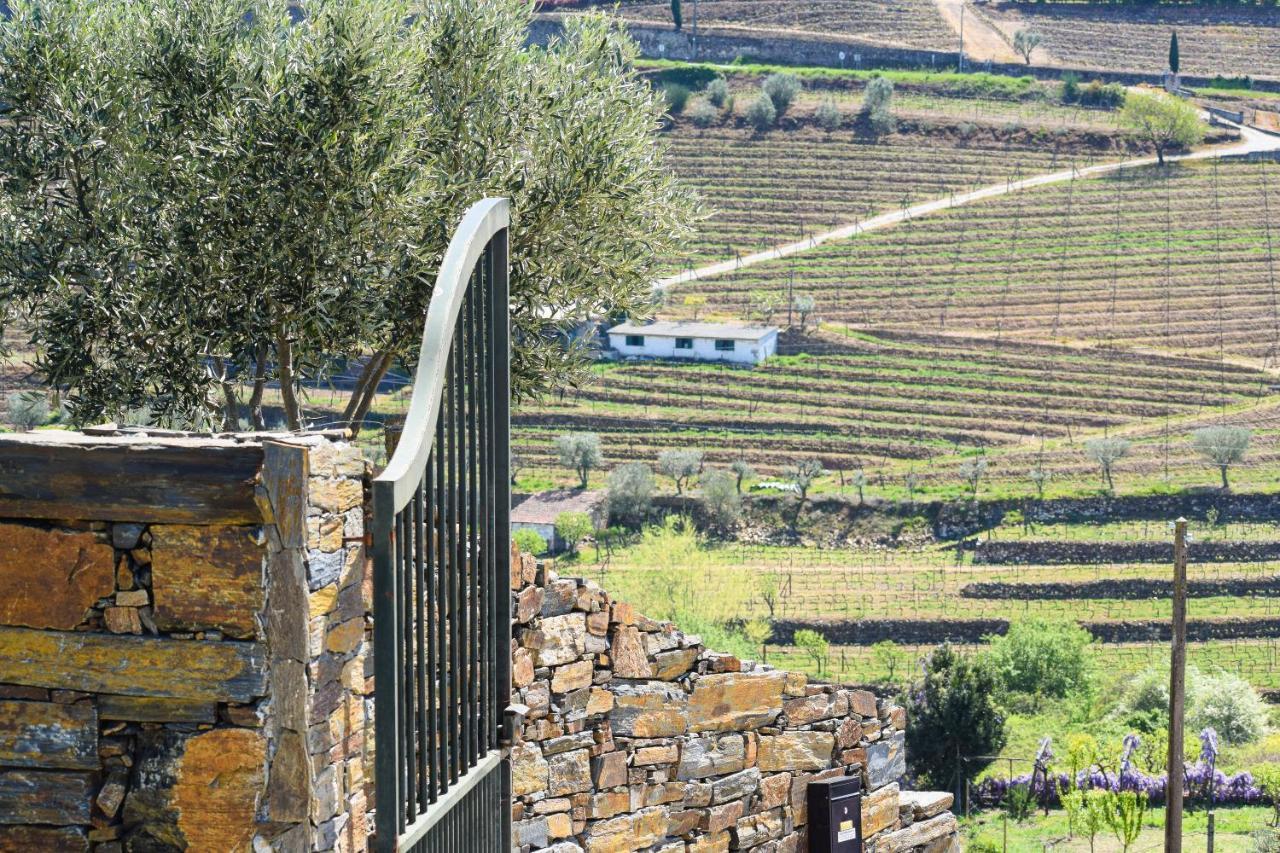 Quinta Dos Padrinhos - Suites In The Heart Of The Douro Ламего Екстериор снимка