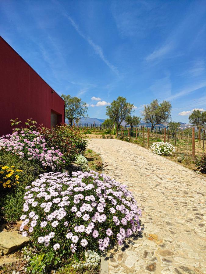 Quinta Dos Padrinhos - Suites In The Heart Of The Douro Ламего Екстериор снимка