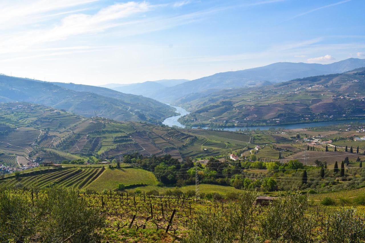 Quinta Dos Padrinhos - Suites In The Heart Of The Douro Ламего Екстериор снимка