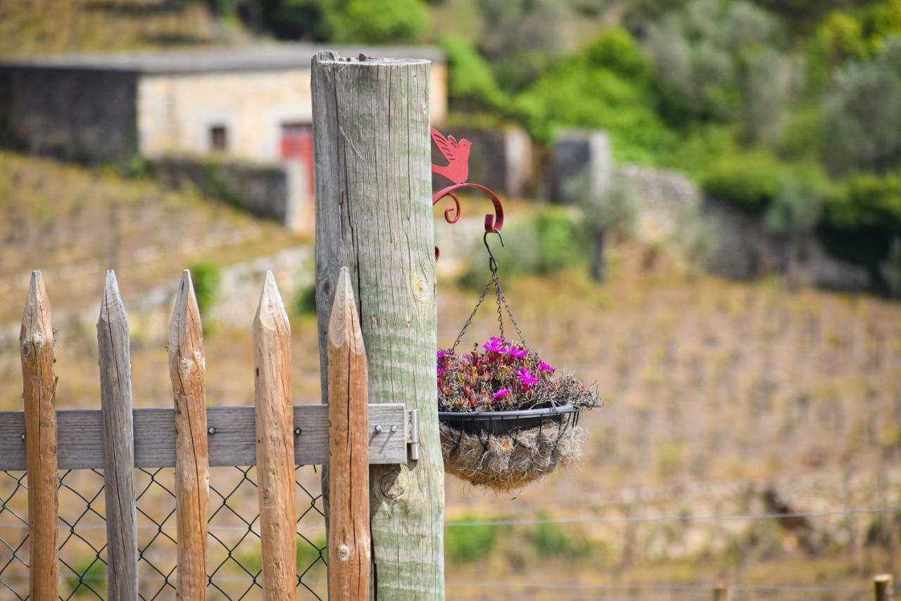 Quinta Dos Padrinhos - Suites In The Heart Of The Douro Ламего Екстериор снимка