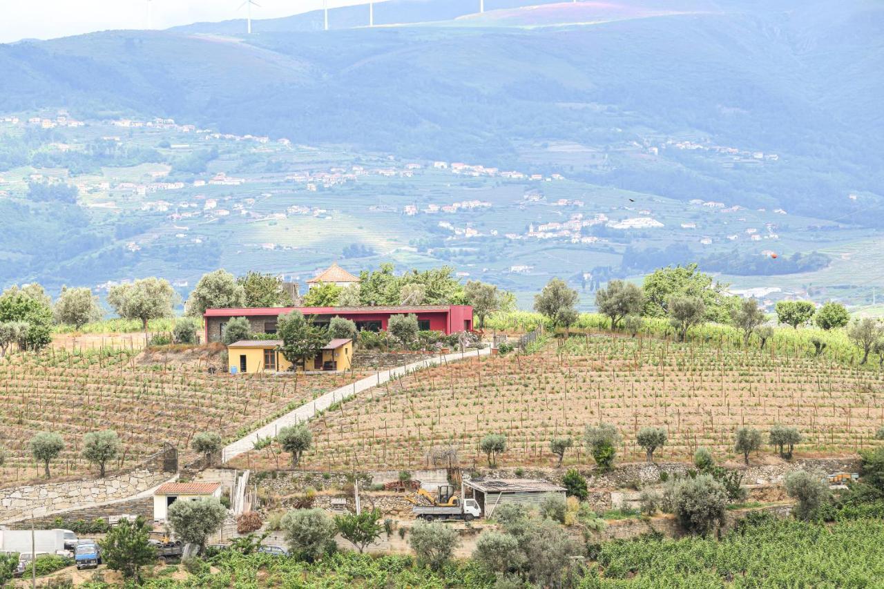 Quinta Dos Padrinhos - Suites In The Heart Of The Douro Ламего Екстериор снимка