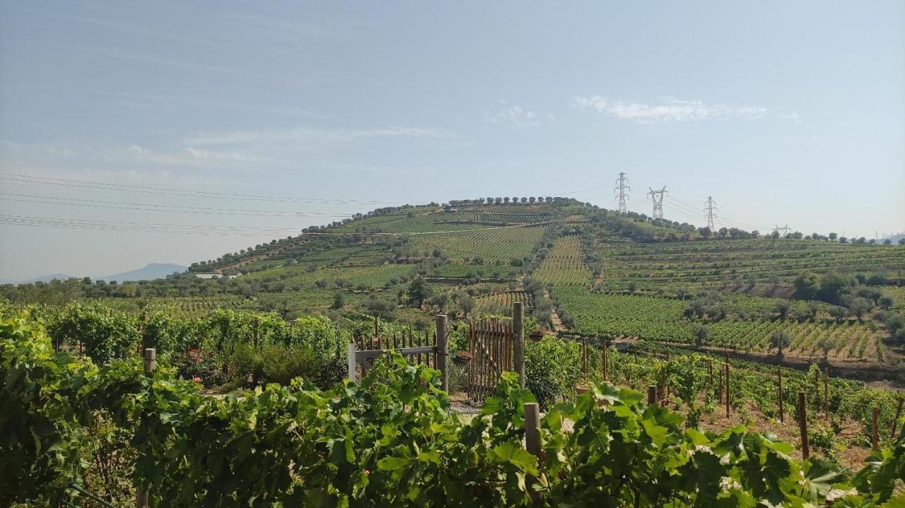 Quinta Dos Padrinhos - Suites In The Heart Of The Douro Ламего Екстериор снимка