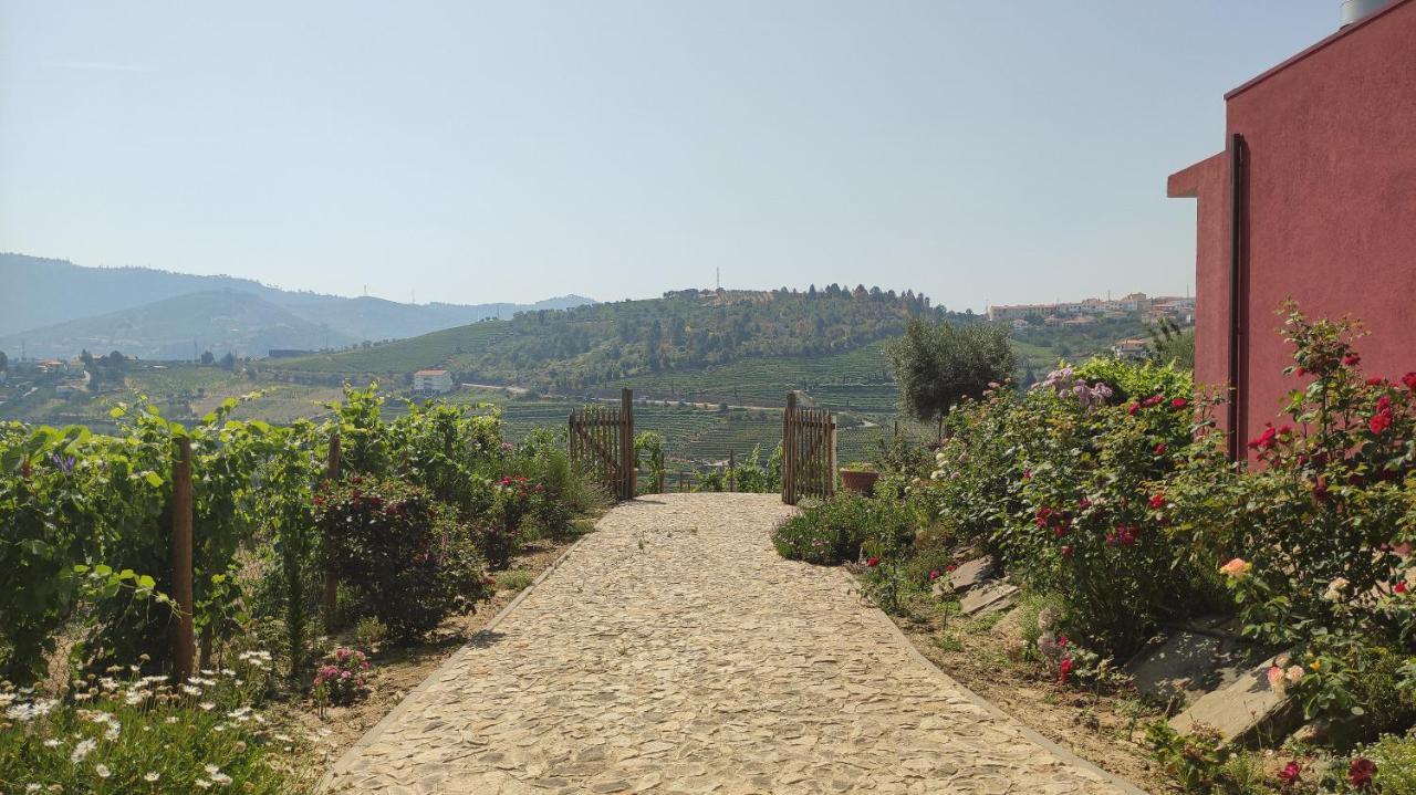 Quinta Dos Padrinhos - Suites In The Heart Of The Douro Ламего Екстериор снимка
