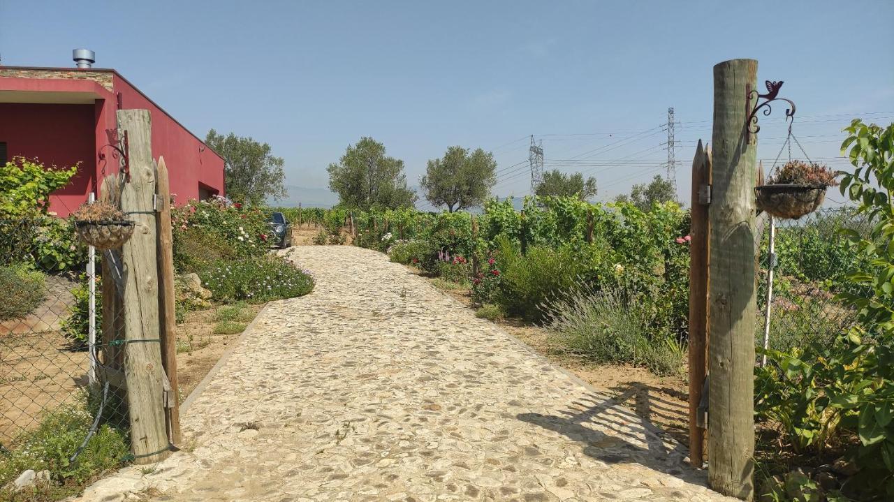 Quinta Dos Padrinhos - Suites In The Heart Of The Douro Ламего Екстериор снимка