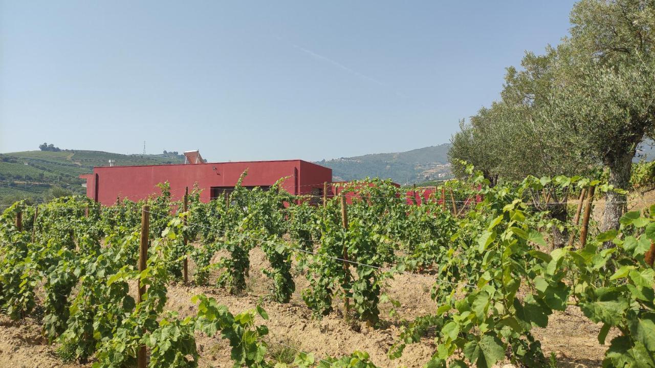 Quinta Dos Padrinhos - Suites In The Heart Of The Douro Ламего Екстериор снимка