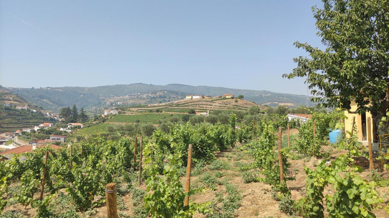 Quinta Dos Padrinhos - Suites In The Heart Of The Douro Ламего Екстериор снимка