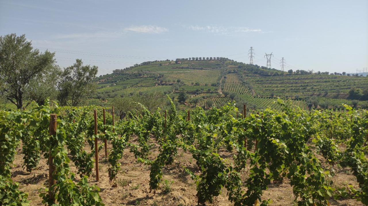 Quinta Dos Padrinhos - Suites In The Heart Of The Douro Ламего Екстериор снимка