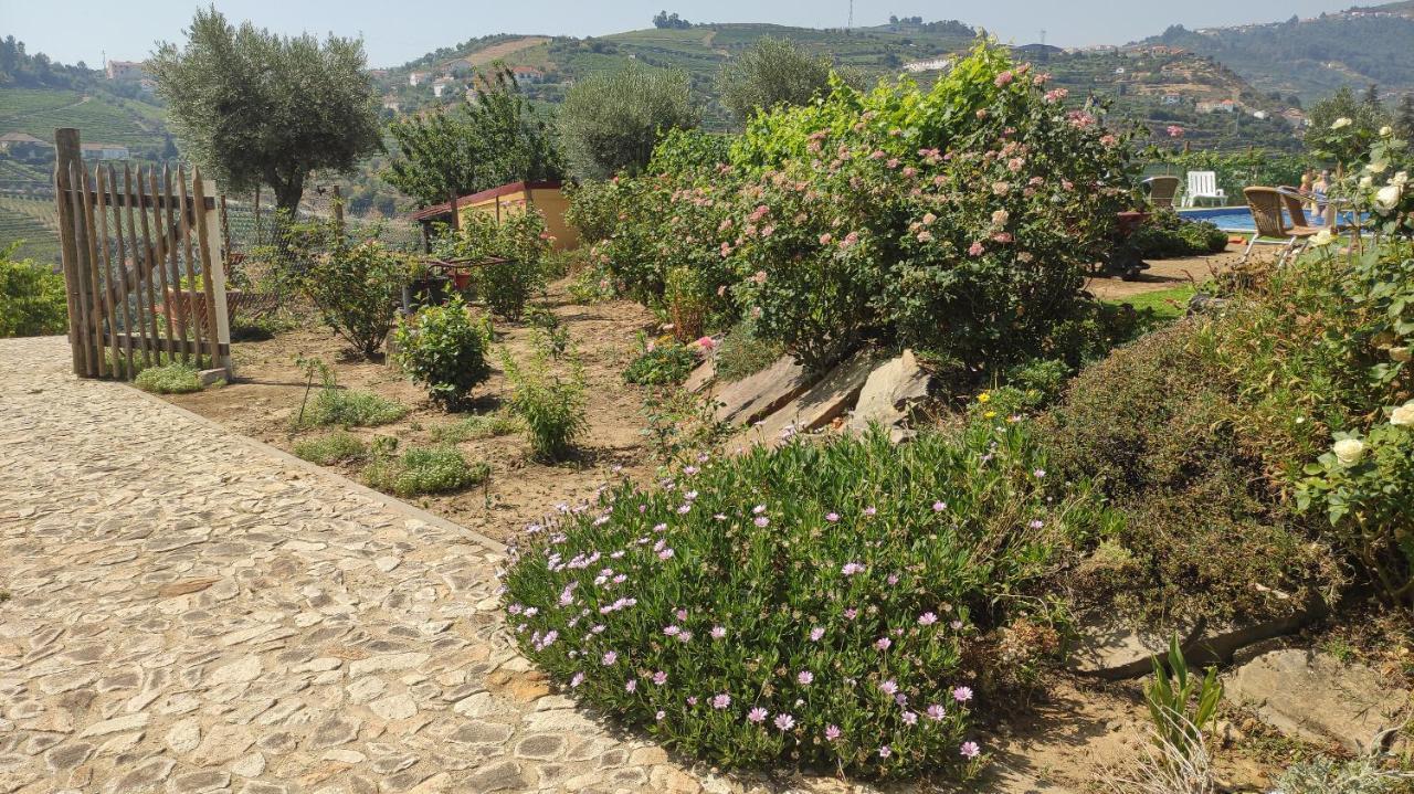 Quinta Dos Padrinhos - Suites In The Heart Of The Douro Ламего Екстериор снимка