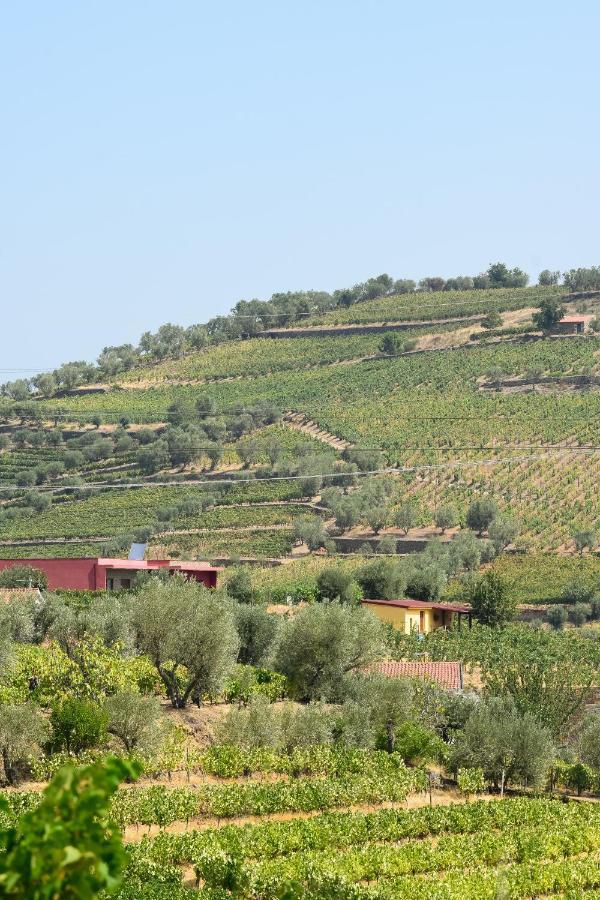 Quinta Dos Padrinhos - Suites In The Heart Of The Douro Ламего Екстериор снимка